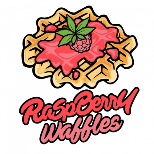Devils Harvest Raspberry Waffles Feminised Seeds - Waffle (500x500)