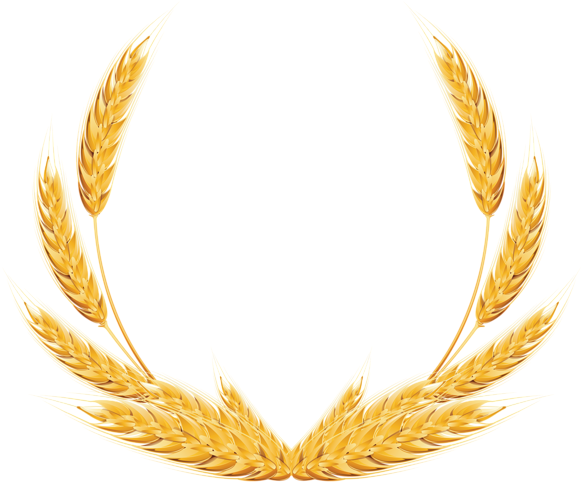 Wheat Decoration Png Clipart Image - Wheat Clipart Png (850x724)