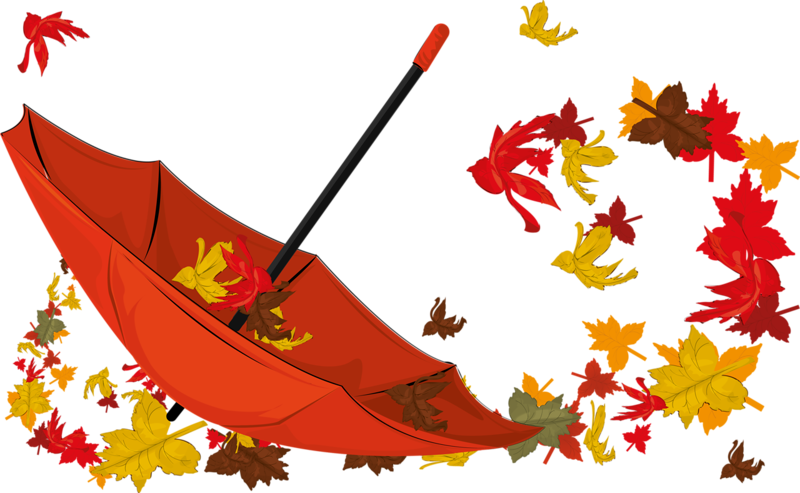 Открытки С Днем Победы - Feuille D Automne Clipart (800x493)