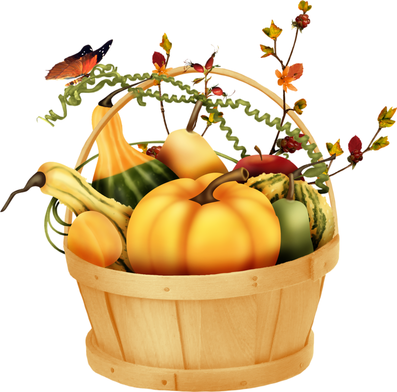 Autumn Fall, Fall Halloween, Rubrics, Thanksgiving, - Fruits D Automne Png (800x790)