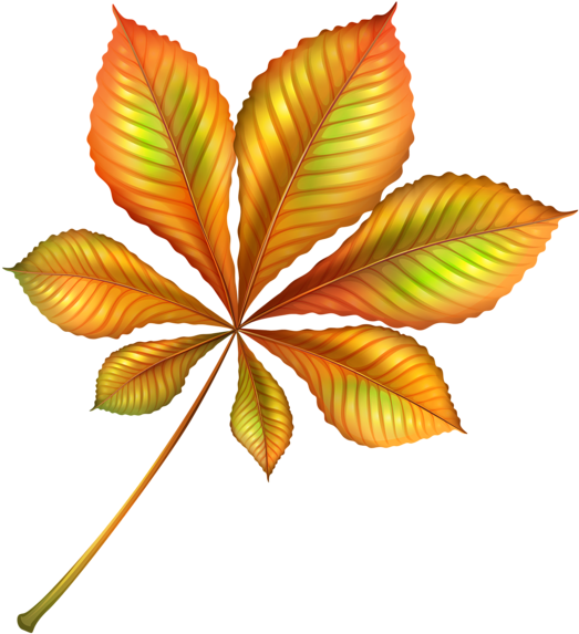 Beautiful Autumn Orange Leaf Png Clipart Image - Beautiful Leaf Png (541x600)