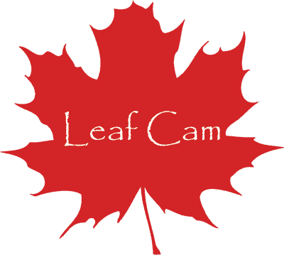 The Visitors Center Staff Is Ready To Assist You In - Happy Canada Day 150 (400x359)