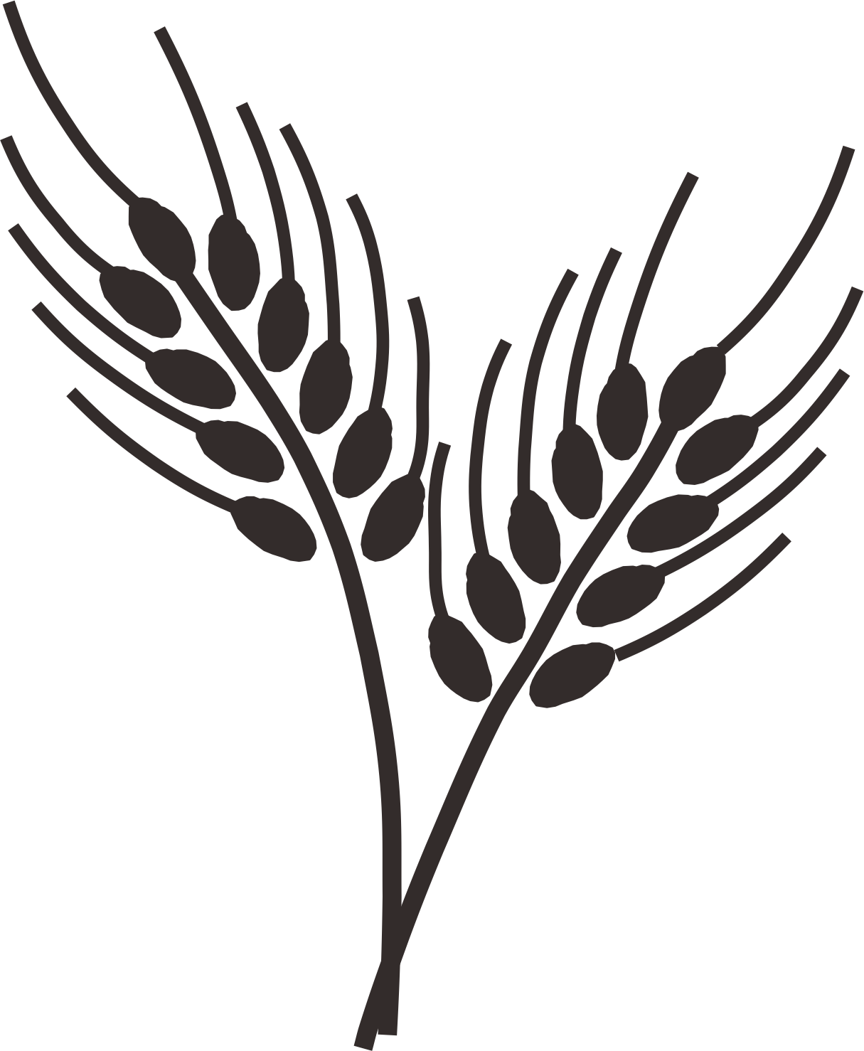 Wheatgrass Drawing Ear Clip Art - Wheat Drawing Png (1215x1478)