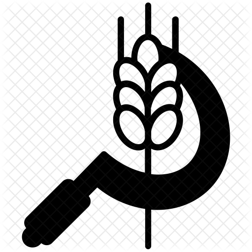 Wheat Icon - Gluten-free Diet (512x512)