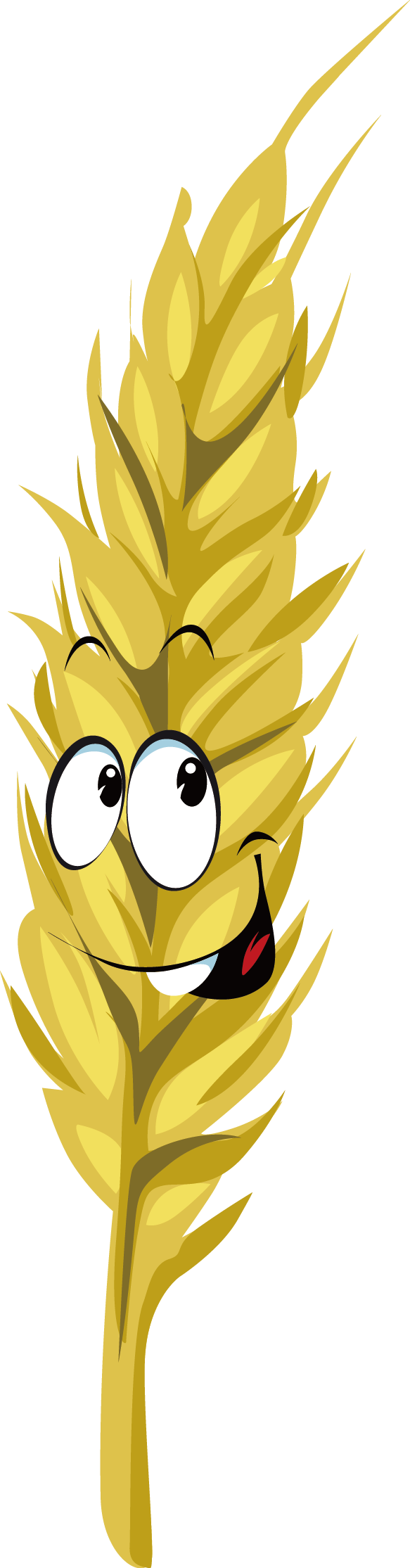 Wheat Cartoon Drawing Royalty-free - Épi De Blé Dessin (583x2229)