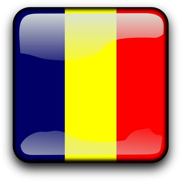 Flag Of Chad Png Images - French Glossy Flag Large Tote Bag (800x800)