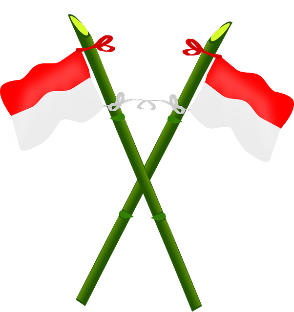 National Flagpole, Bamboo, Flag, Indonesia, National - Indonesian Flag Clip Art (602x640)