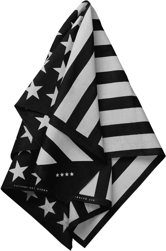 American Flag Bandana - Bow Wow Soulja Boy Album (1024x1024)