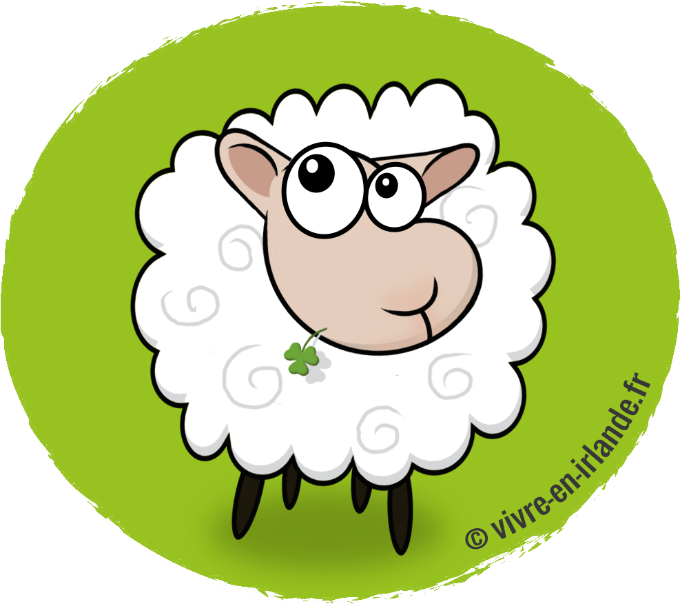 Mouton Irlande Mouton Irlande Dessin 1154x9 Png Clipart Download