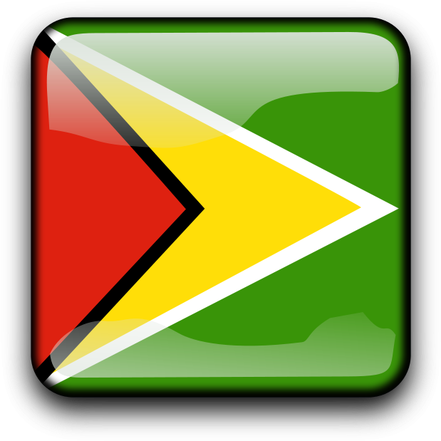 Gy Flags Png Images - Guyana (800x800)