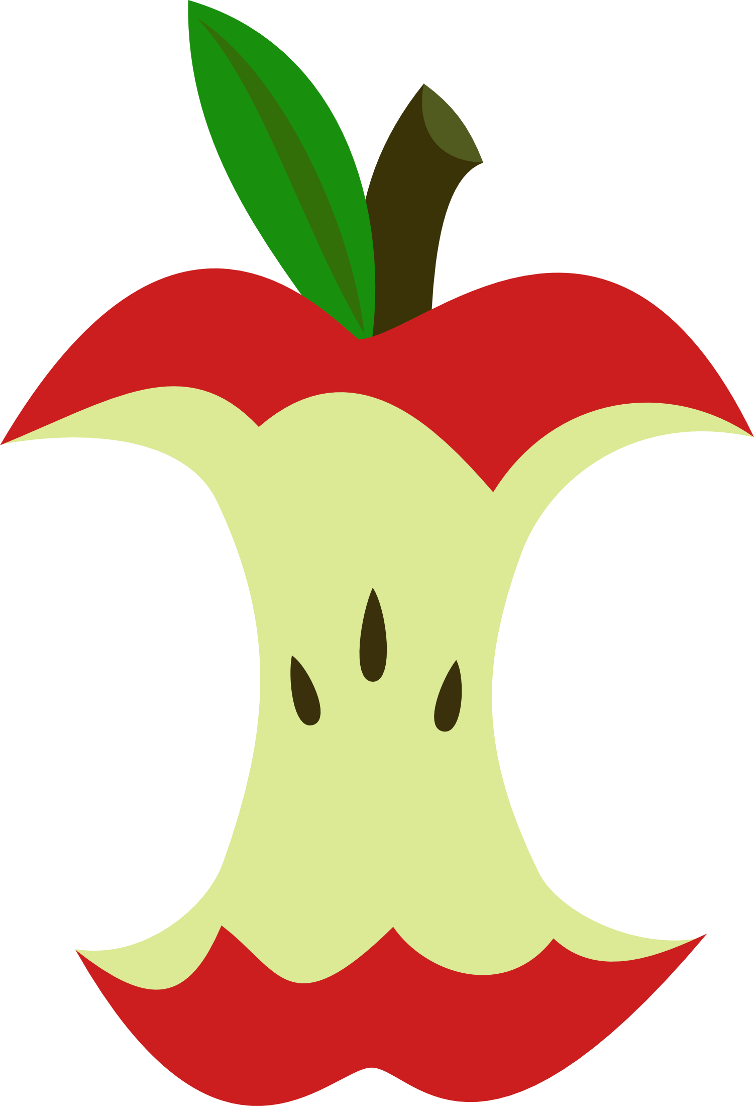 Apple Heart Clipart - Draw A Apple Core (1501x2200)