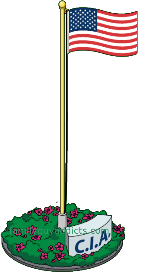 Undercover American Flag - American Dad American Flag (495x938)