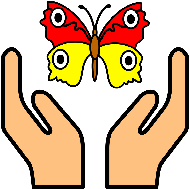 Capture - Capture (790x800)