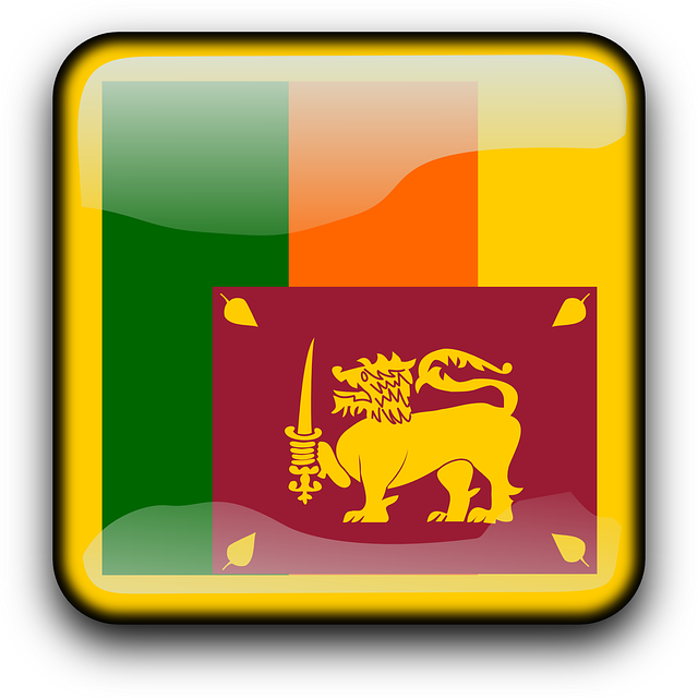 Button Sri Lanka, Flag, Country, Nationality, Square, - National Flag Sri Lanka (640x640)