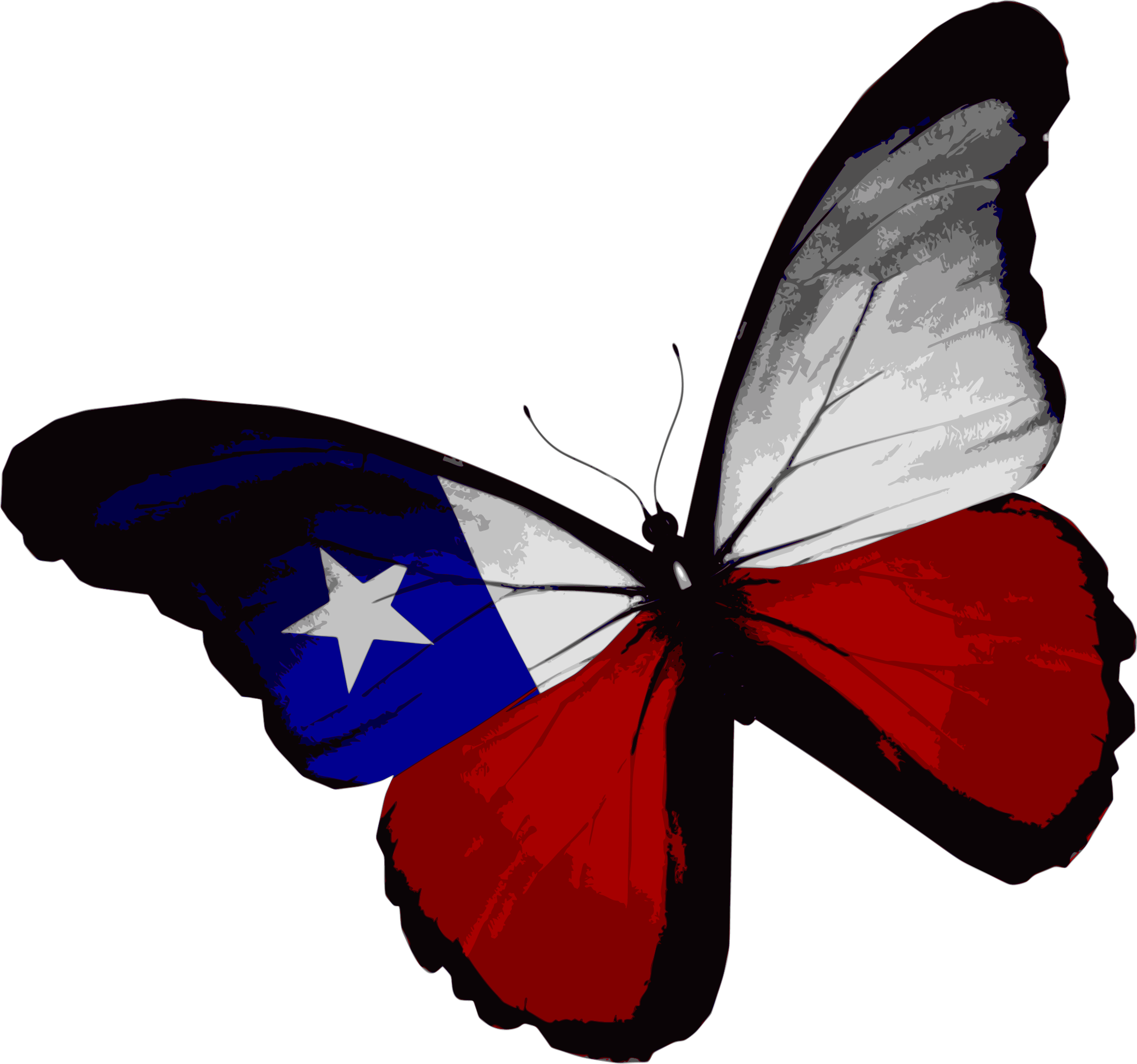 Flag Of Texas Butterfly Flag Of The United States - Chilean Flag Butterfly (2244x2100)