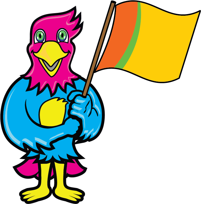 Custom Flag Printing Outdoor, Indoor, All Shapes And - Flag (642x768)