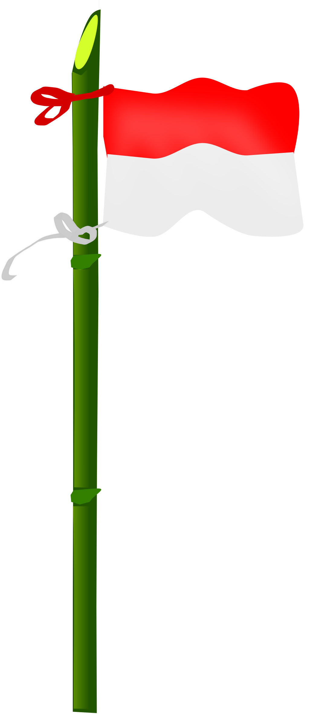 This Free Icons Png Design Of Bamboo And Indonesian - Indonesian Flag Clip Art (1080x2400)