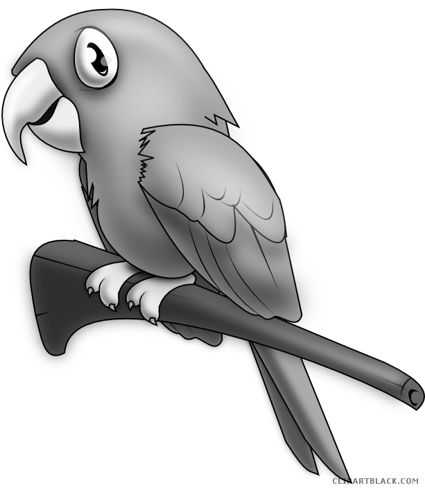 Grayscale Parrot Animal Free Black White Clipart Images - L Words In Spanish (613x707)