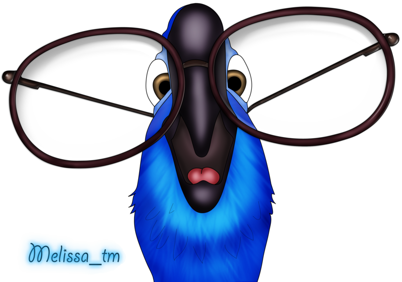 Parrot Blue From Rio Png By Melissa-tm - Rio Png (800x561)