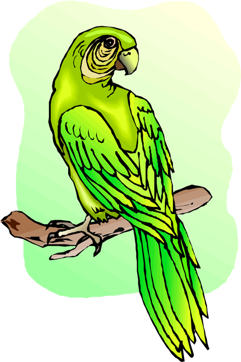 Free Parrot And Macaw Clipart - Parrot (527x750)
