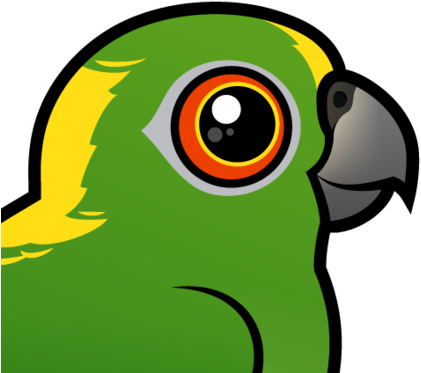 About The Yellow-naped Parrot - Parrot (440x440)