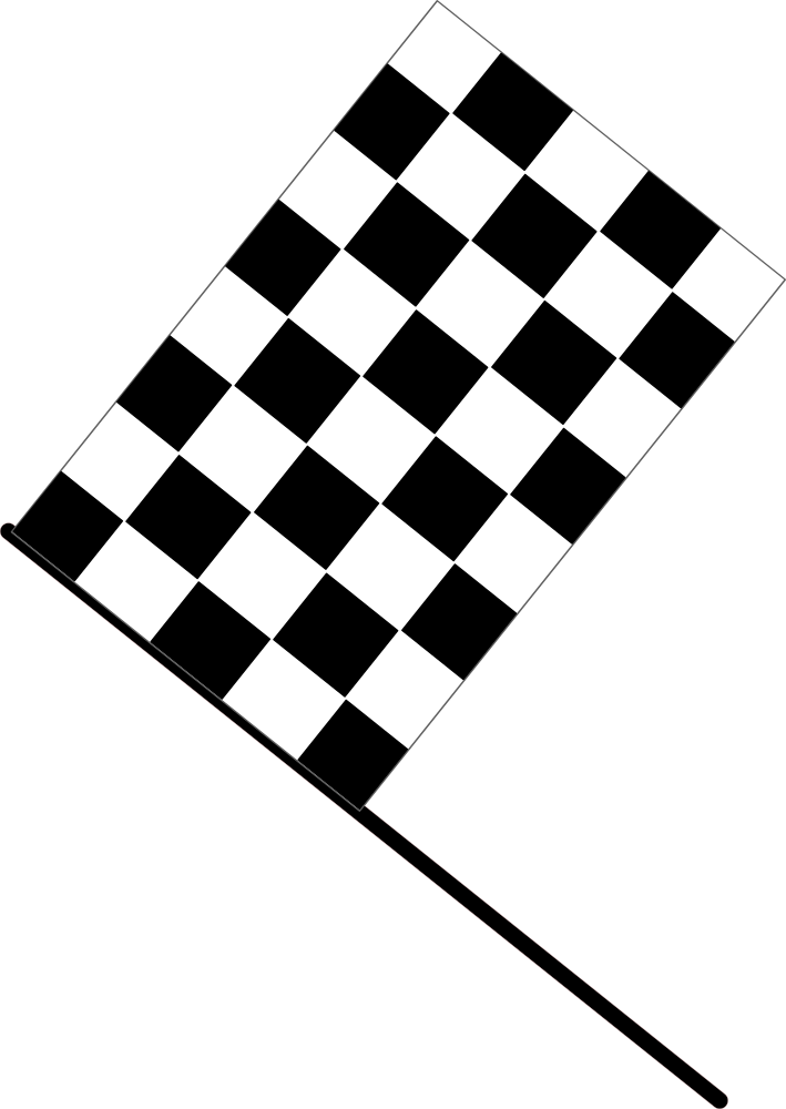 Checkered Flag - Checkered Flag Small (709x1000)