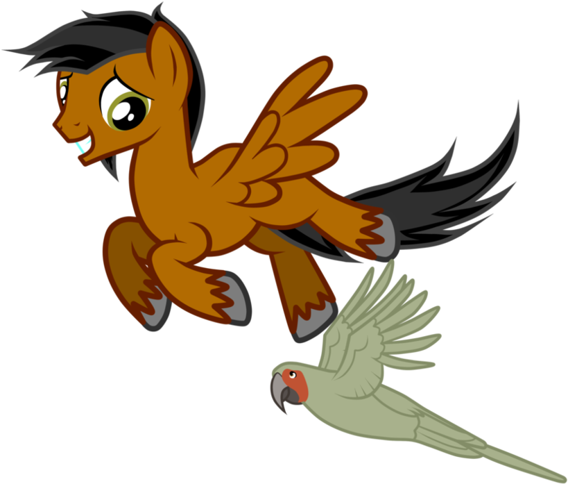 Blower Dust And Parrot By Junkiesnewb - Cartoon (1005x795)