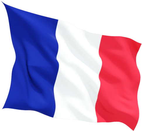 France Flag Free Download Png - French Flag Png Gif (640x480)