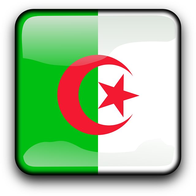 Button Algeria, Flag, Country, Nationality, Square, - Algeria Flag (800x800)