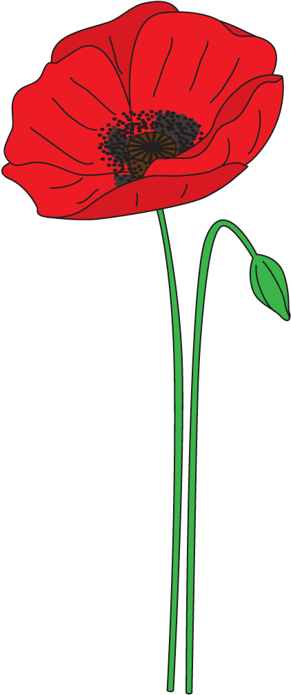 Poppy Clipart Anzac Poppy - Anzac Day Poppy Clipart (539x1123)