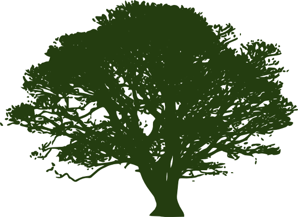 Clip Arts Related To - Shade Tree Clip Art (600x436)