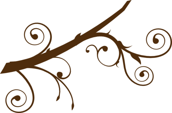 Tree Branch Png Clipart - Branches Clipart (570x376)
