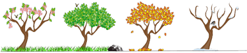 Fall Tree Branch Clipart Png - Seasons Of The Year Uk (500x250)