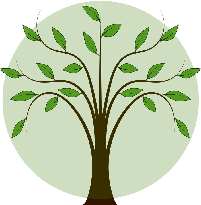 Leafy Branch Cliparts 6, Buy Clip Art - Family Tree Vector Png (706x720)