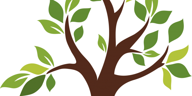Big Tree Contest - Vector Image Tree (660x330)