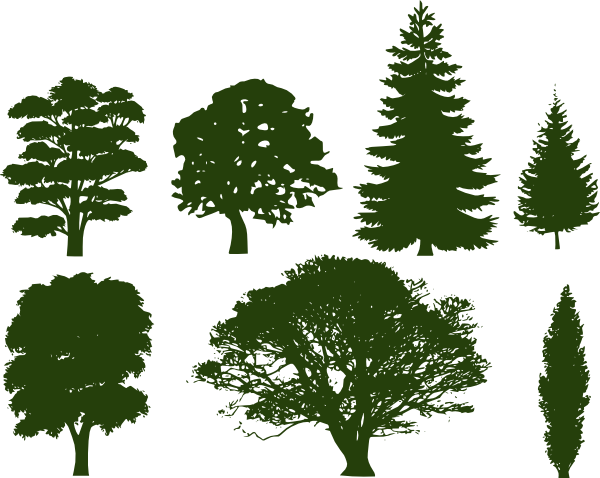 Trees Silhouettes (600x478)