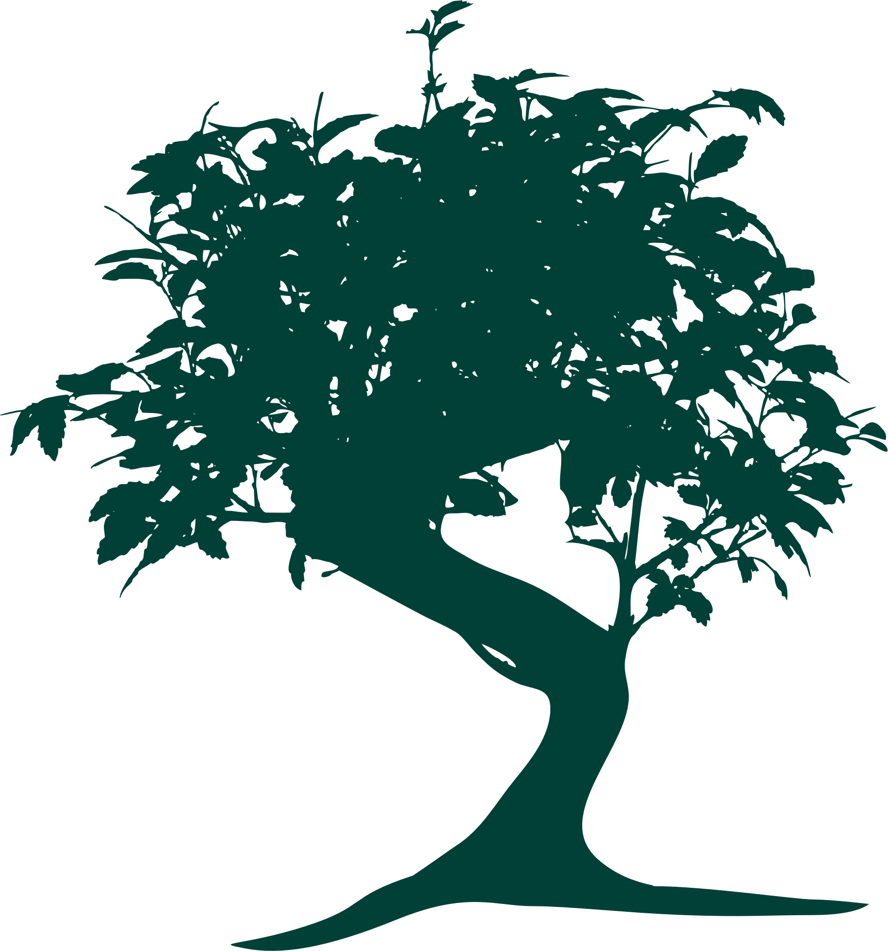 This Free Icons Png Design Of Bonsai Silhouette - Bonsai Tree Vector Png (1812x1941)