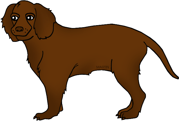 State Dog Of Wisconsin - American Water Spaniel Clipart (648x442)