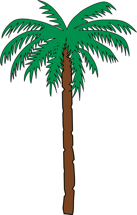 Palm Tree Vector 23, Buy Clip Art - Haiti Coat Of Arms (459x720)