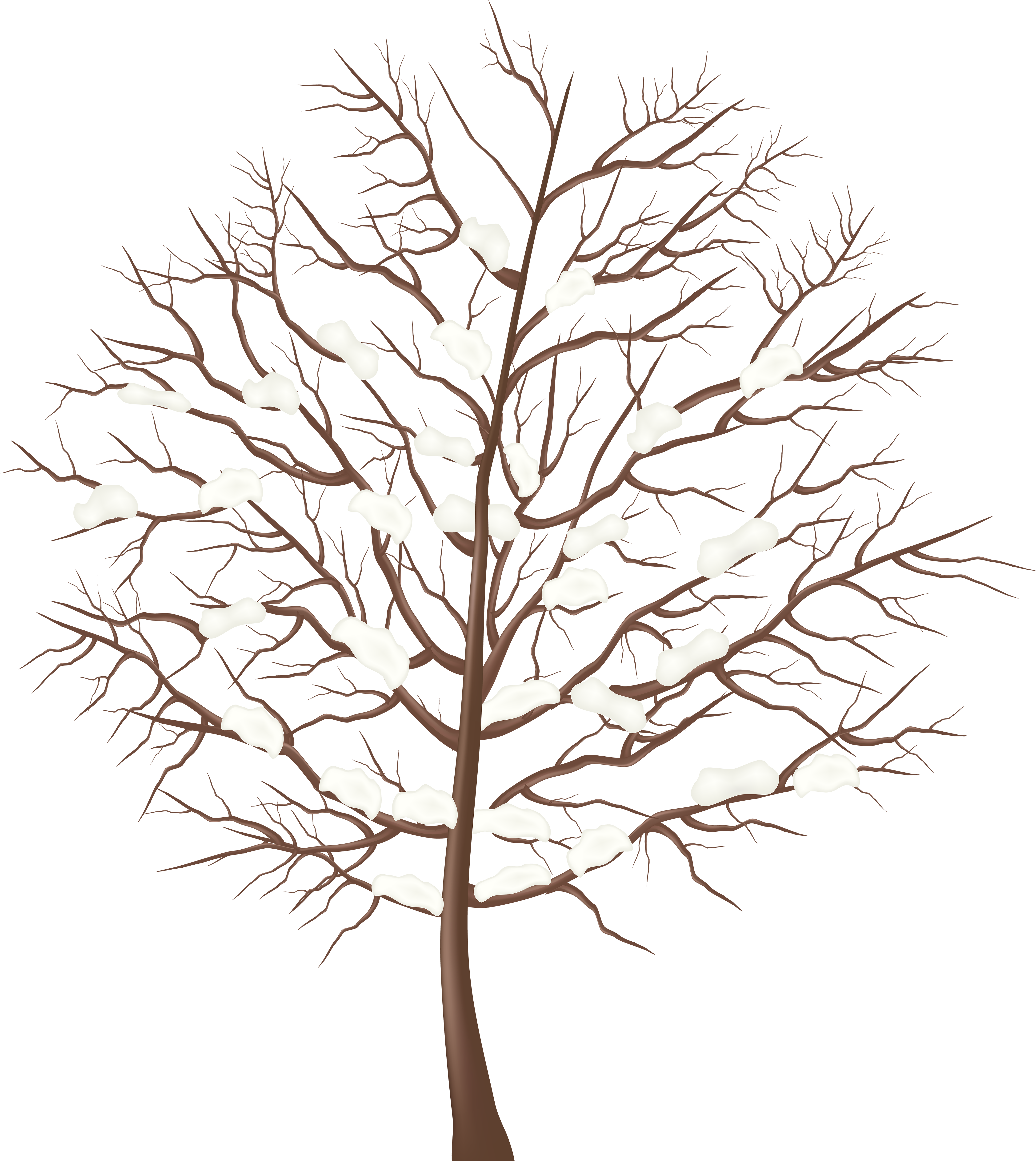 Tree Clipart Winter - Winter Tree Transparent (4470x5000)