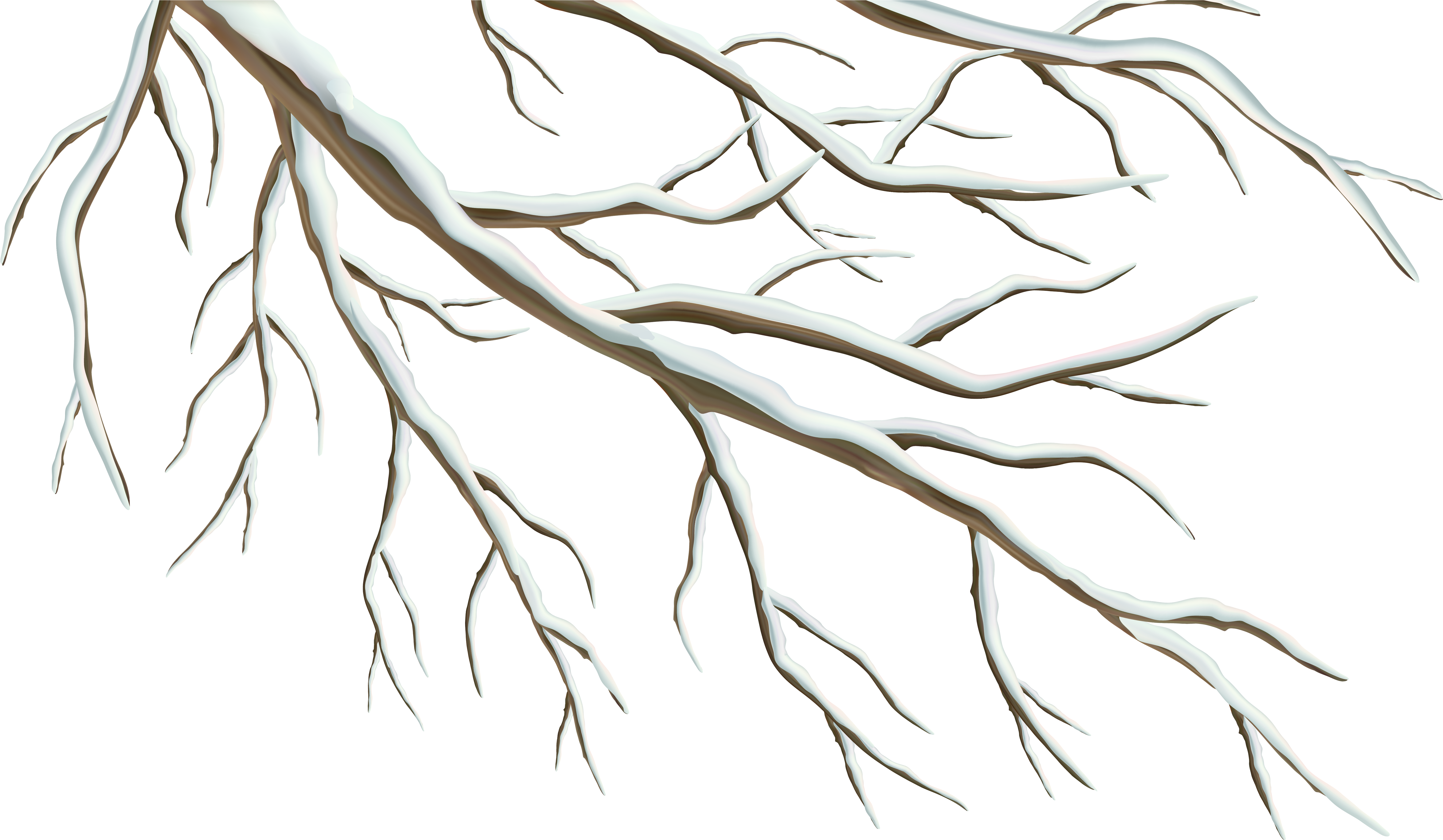 Winter Branch Png Clipart Image - Tree Branches Png (6321x3791)