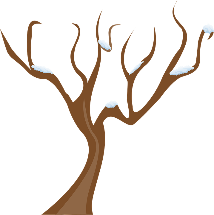 Spooky Tree Cliparts 14, - Tree Without Leaves Clipart (717x720)