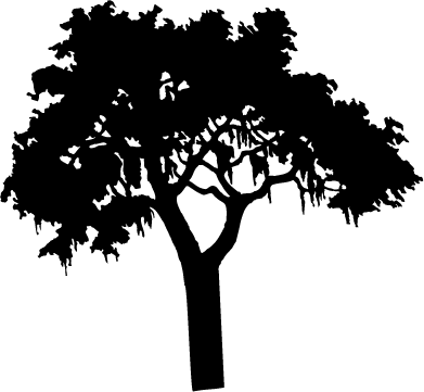 Ideal Tree Silhouette Transparent Background Miscellaneous - Centre Social D Orzy (391x361)