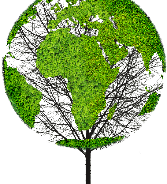 Earth World Map Green Tree Png Object For Photoshop - Green Object Png (800x600)