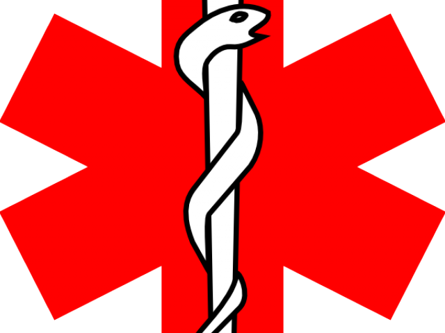Red Cross Mark Clipart Paramedic - Paramedic (640x480)