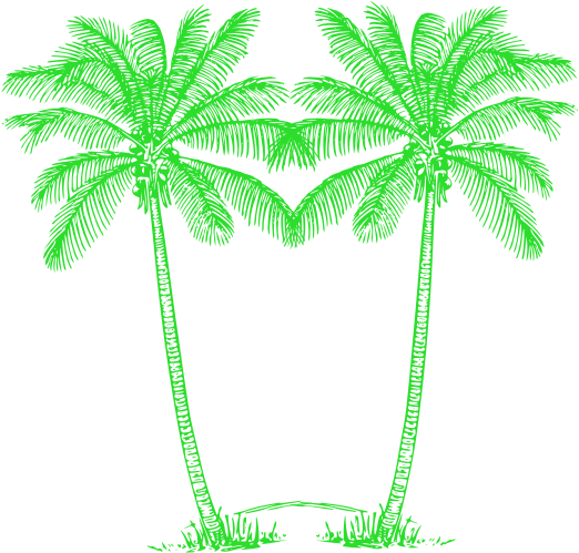 Double Green Palm Tree Image - Green Palm Tree Png (1024x768)