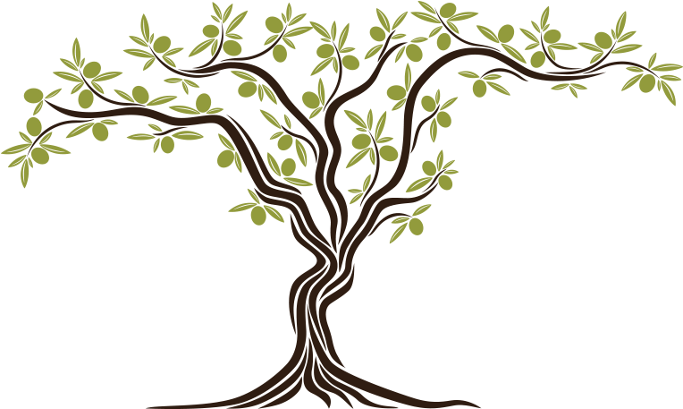 Stefas Mediterranean Foods Website - Olive (786x482)