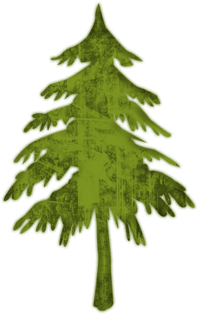 Evergreen Or Fir Tree 2 Icon - Pine Tree Icon Png (512x512)