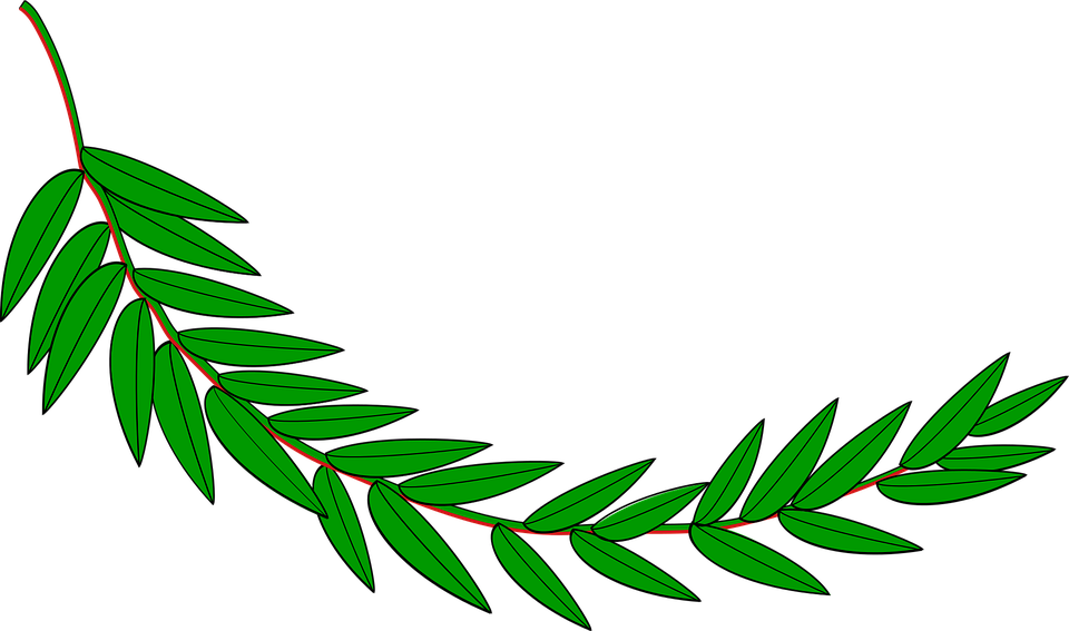 Branch Leaves Cliparts 7, Buy Clip Art - Hojas De Laurel Dibujo (960x567)