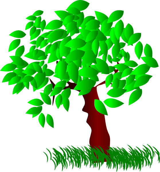 Clipart Tree Leaves - Trees And Leaves Clipart (558x597)